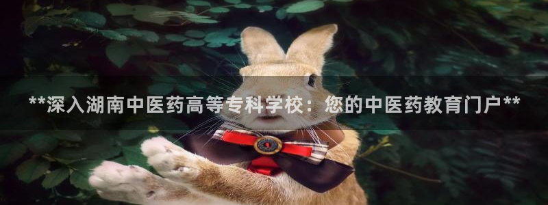 ag九游会app下载版官网正版