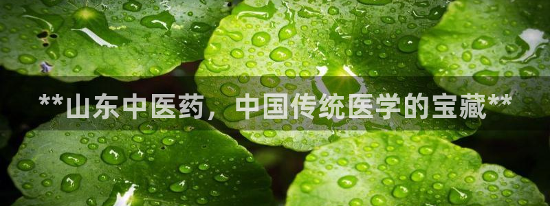 9游会官网首页