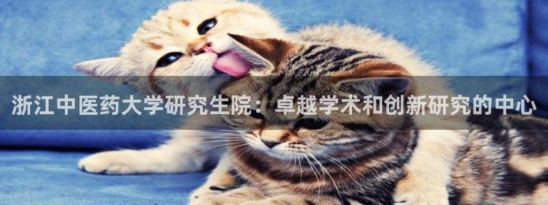 j9九游会合法吗