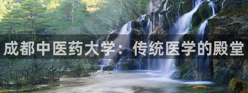 九游会最新网站