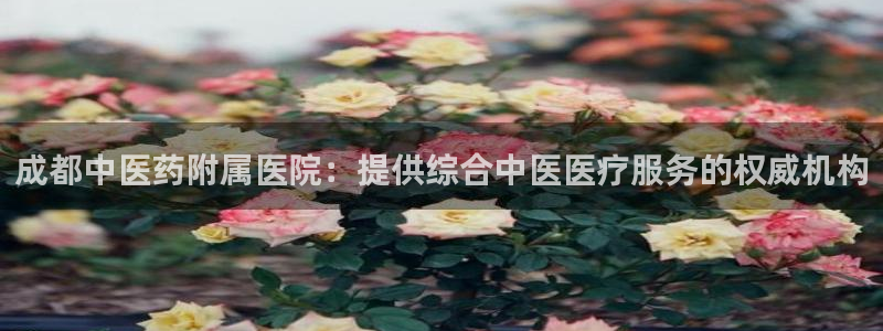 九游会ag私享