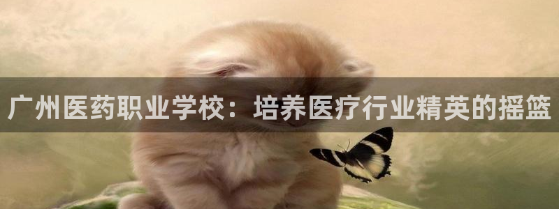 九游会app下载版官网正版