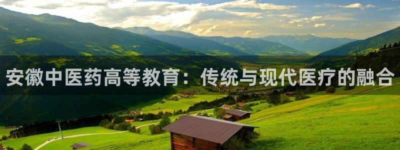 九游会是大平台吗