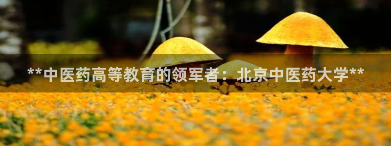 九游会注册网址
