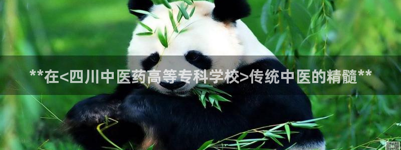 九游会官网网址是多少