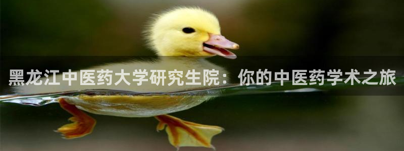ag九游会下载