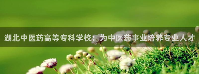 九游会国际厅有限责任公司