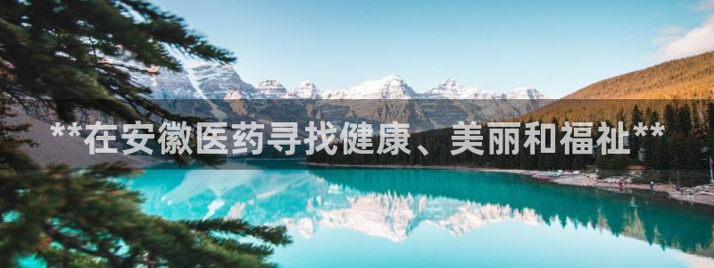 九游j9国际站