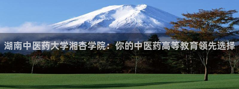 九游会平台最强