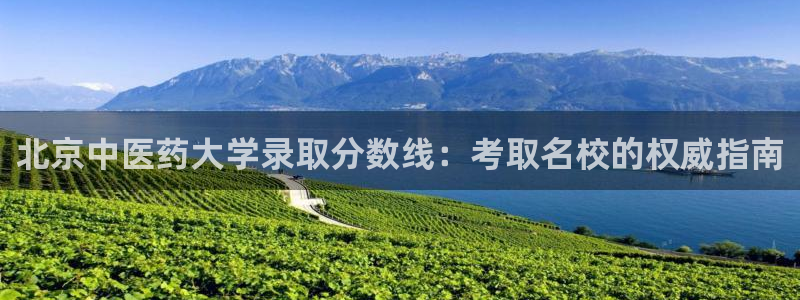 九游会ag官方平台