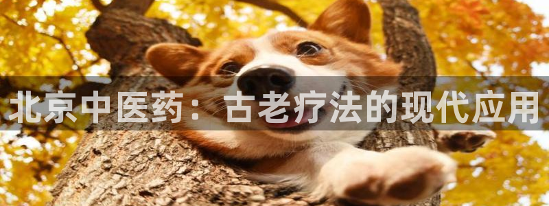 j9九游会游戏