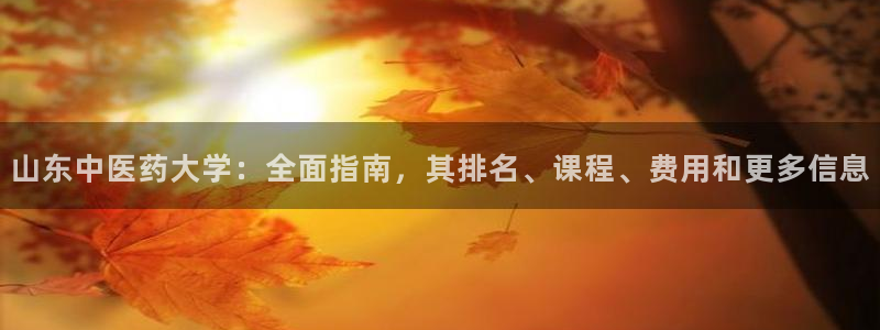 九游j9打不开