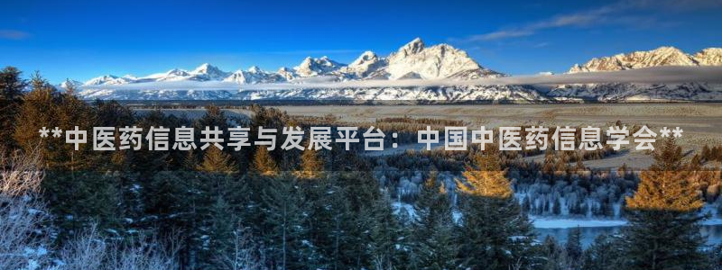 九游j9国际