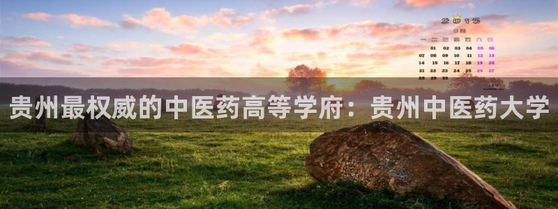 九游会网站网