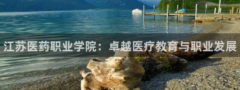 九游j9会