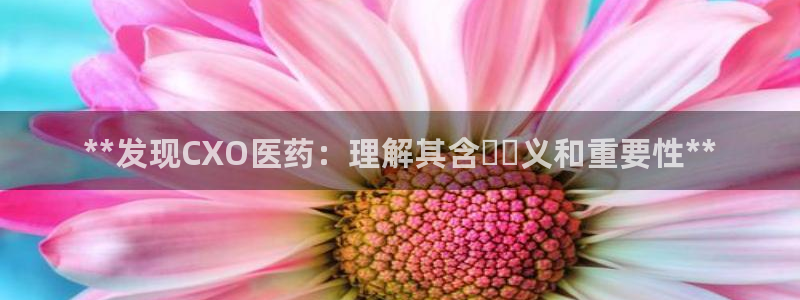九游会ag入口