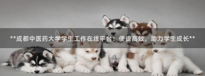 j9九游会网址