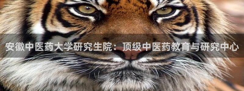 九游会官网网址是多少