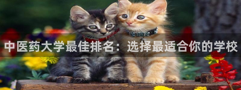 ag九游会j9j9