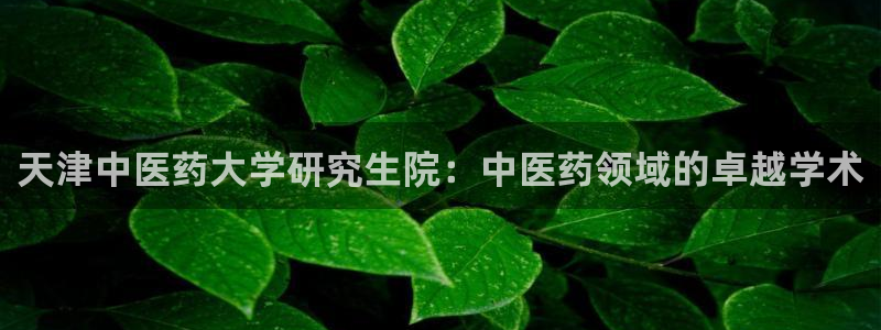 J9九游会是干嘛的