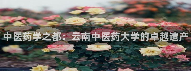 j9363九游会