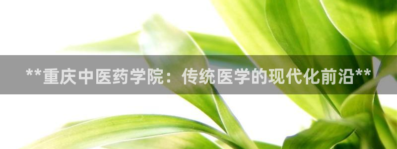 九游会app官方下载