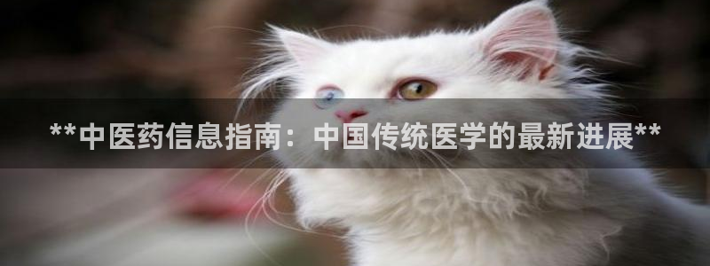 九游会是什么