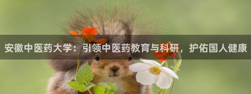 j9九游会老哥俱乐部八戒