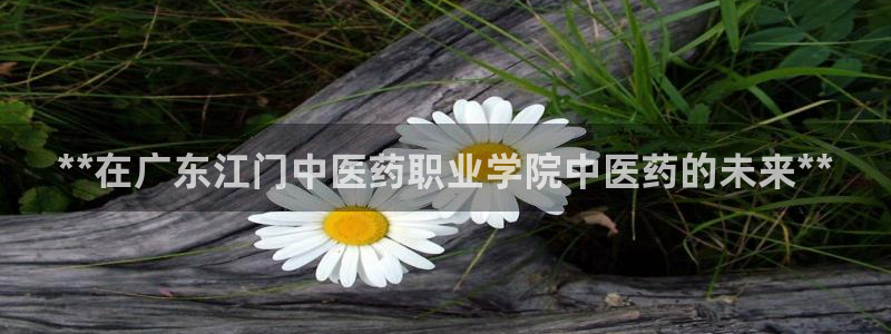 九游会ag登录j9