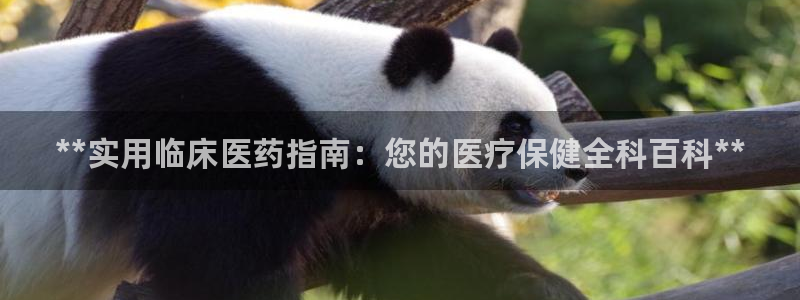 九游会j9登录官网