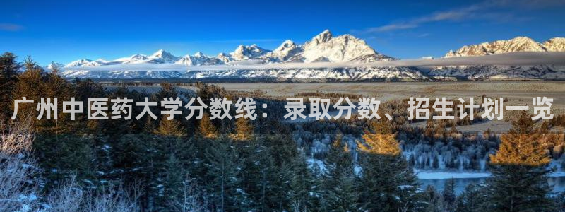 九游会网址登录不上