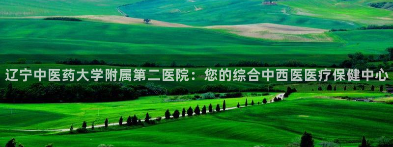 九游官网首页进入j9