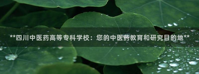 九游会官方app