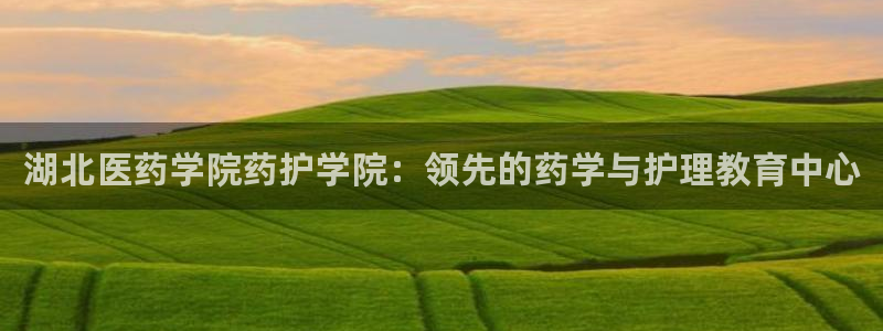 九游会官方在线