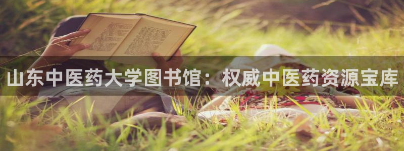九游j9
