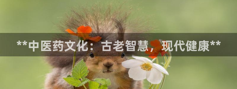 九游会官方在线