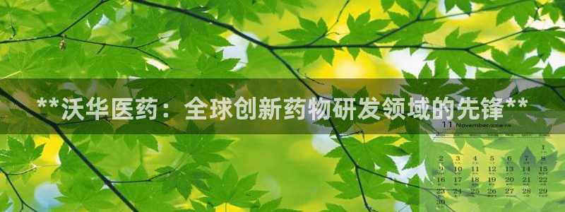 九游会j9