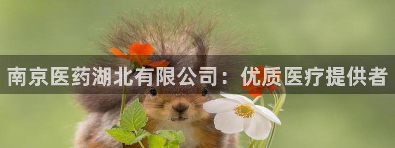 九游会ag登陆