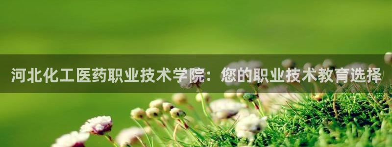 九游会平台登录不上