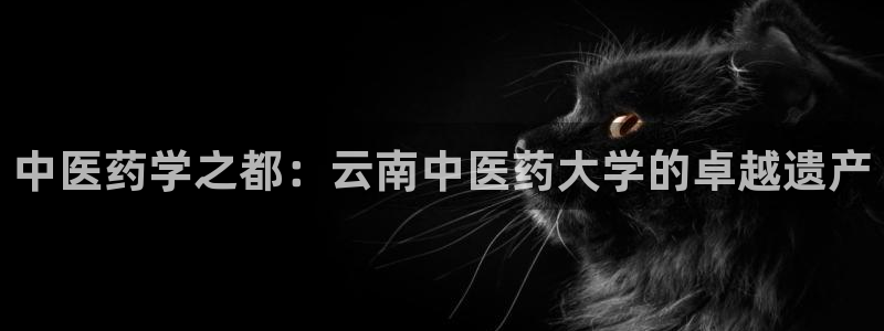 j9九游会登录网址