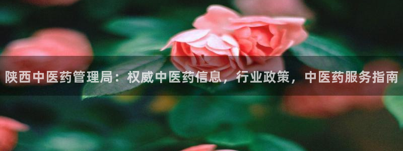九游会网址是多少
