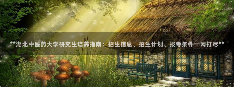 j9九游会官方网站国际怎么样
