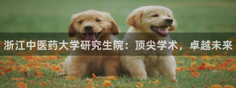 九游会软件