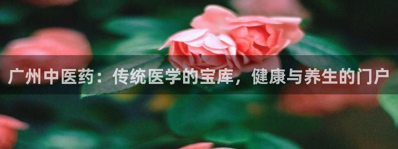 J9九游会九游国际版