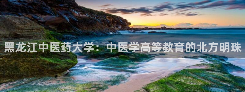 ag九游最新