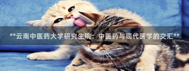 ag九游会j9j9