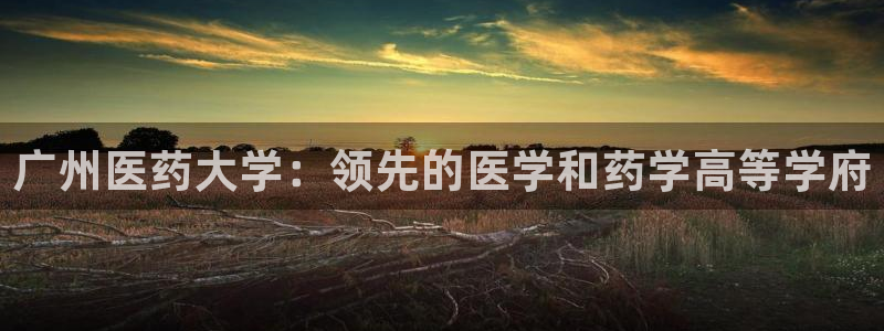 9游会app下载