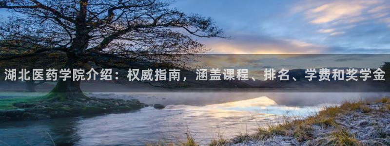 九游会软件