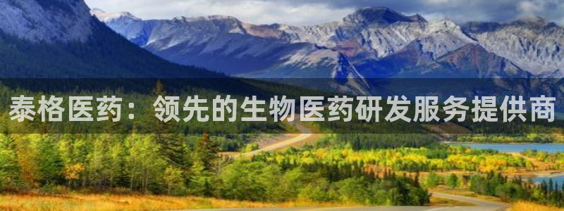 九游会关服吗
