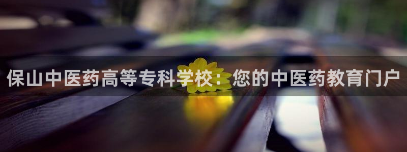 九游j9国际